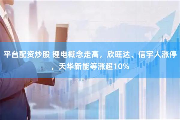 平台配资炒股 锂电概念走高，欣旺达、信宇人涨停，天华新能等涨超10%